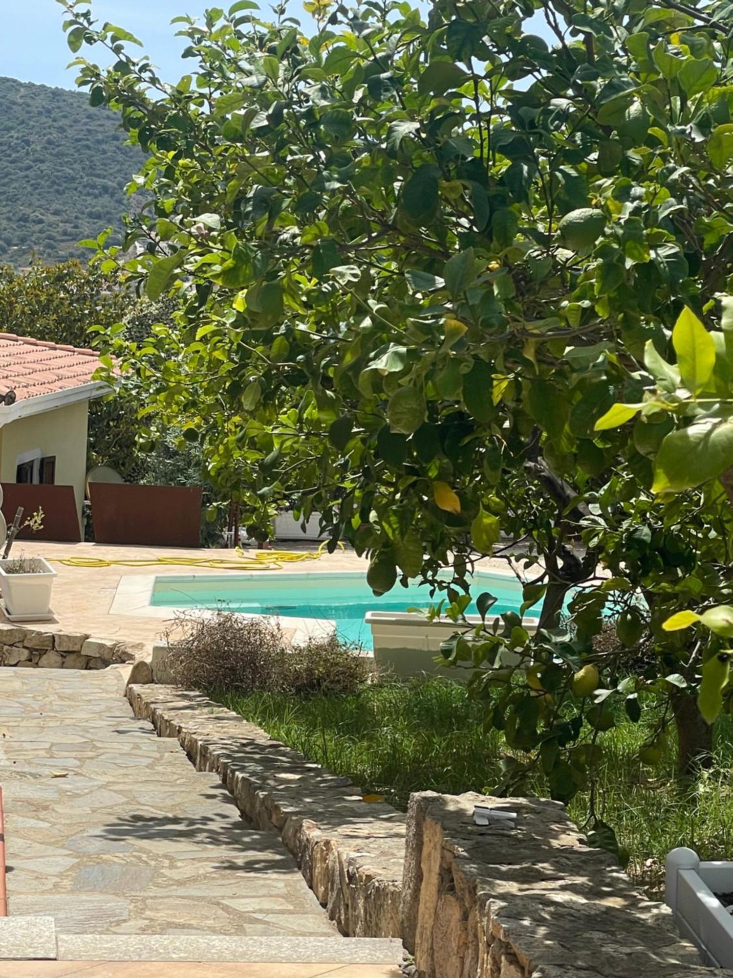 Sa Murta Bianca Guesthouse Budoni Dış mekan fotoğraf