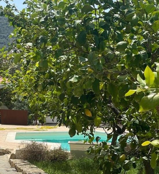 Sa Murta Bianca Guesthouse Budoni Dış mekan fotoğraf